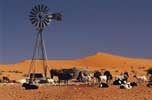Farming in the Northern Cape